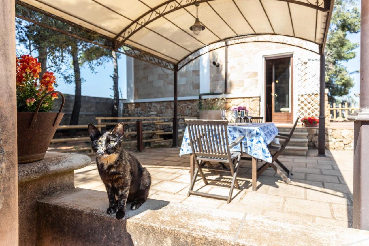 Villa Antonietta Alliste Extérieur photo